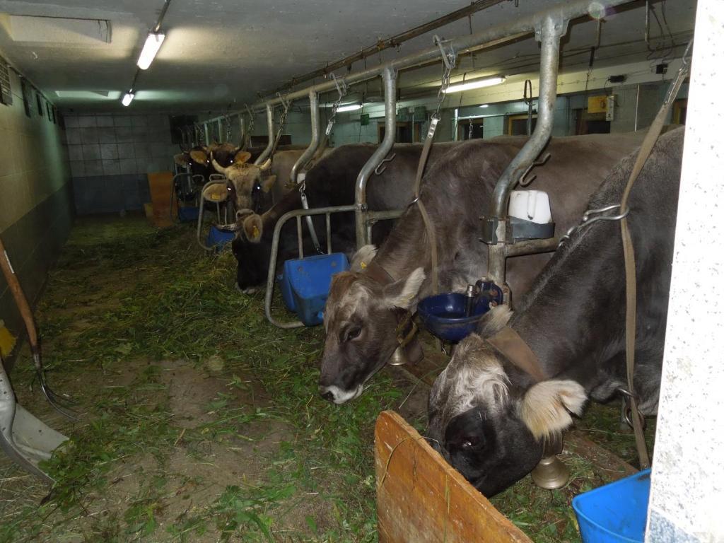 Moeslehof Lägenhet Kauns Exteriör bild